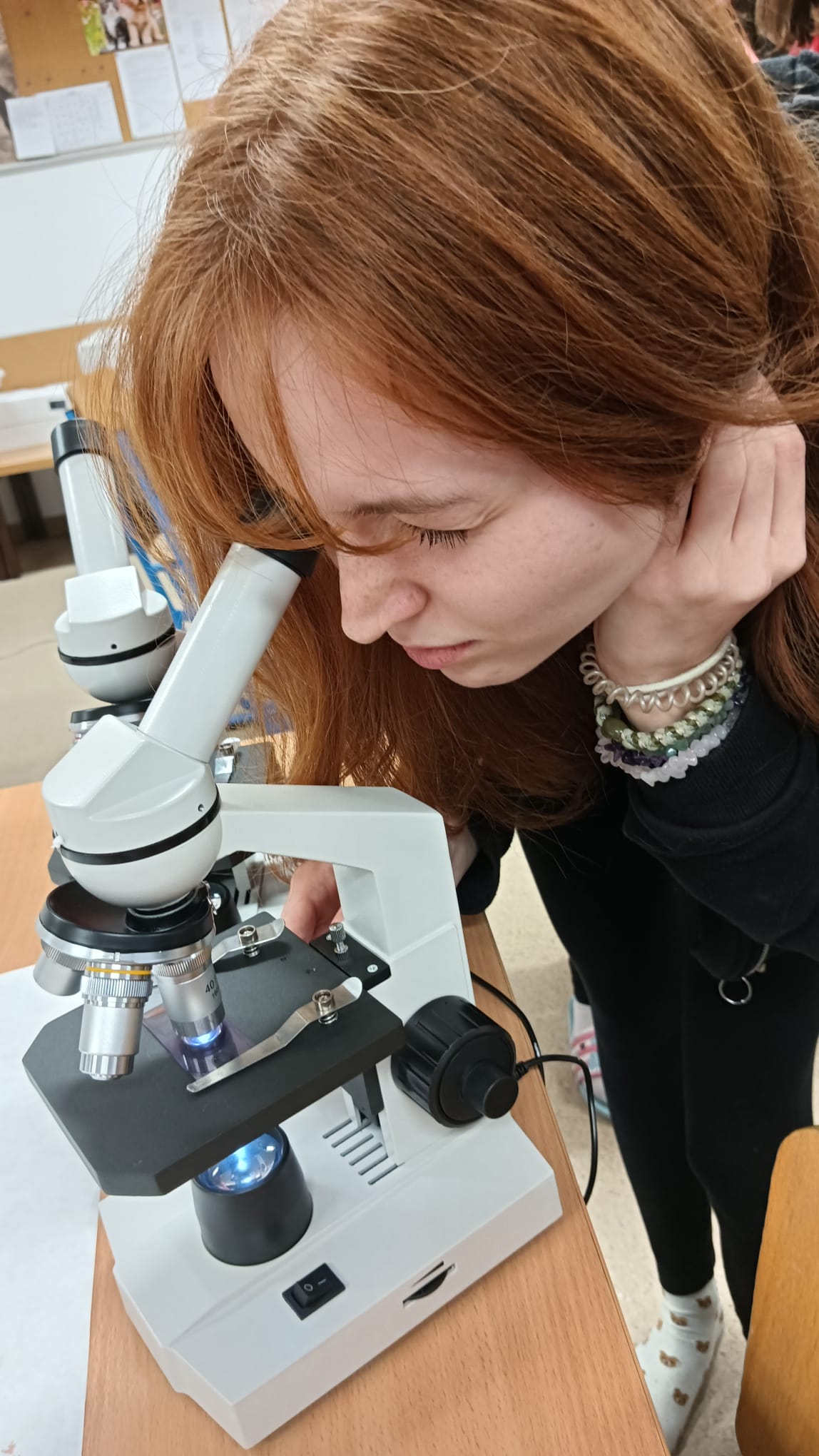 WhatsApp Image 2025-12-02 at 16.42.59.jpeg